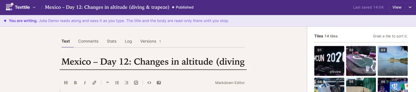 The editor while you write. The banner says: You are writing. Julia Demo reads along and sees it as you type.